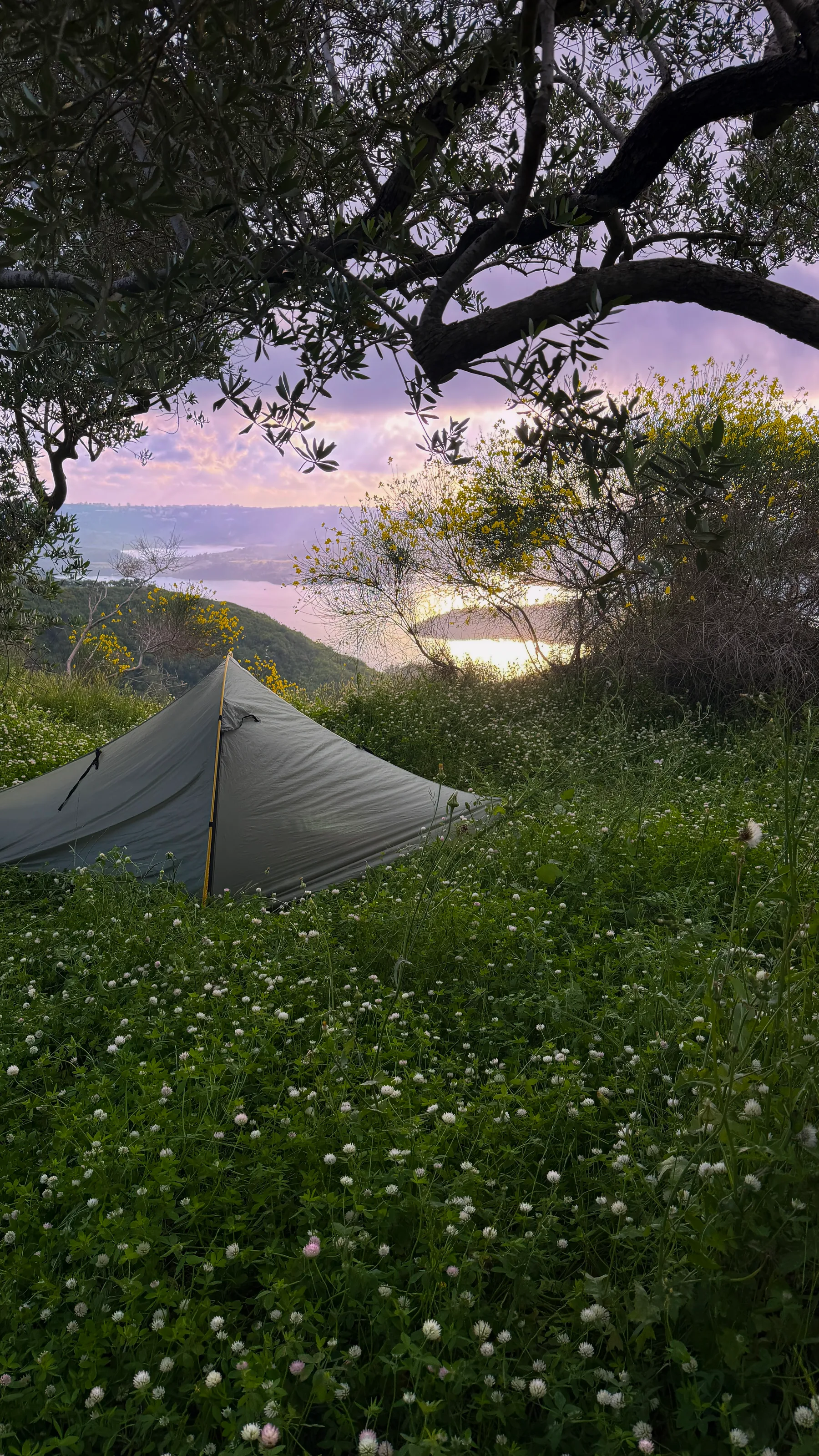 Tent spot